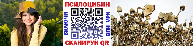 Галлюциногенные грибы Psilocybine cubensis  Купить закладки  Агидель 